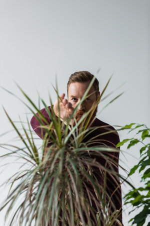 Stylish bearded man looking at camera through leaves of plant isolated on greyの写真素材