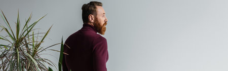 Side view of bearded man in burgundy jumper looking away near plants isolated on grey, bannerの写真素材