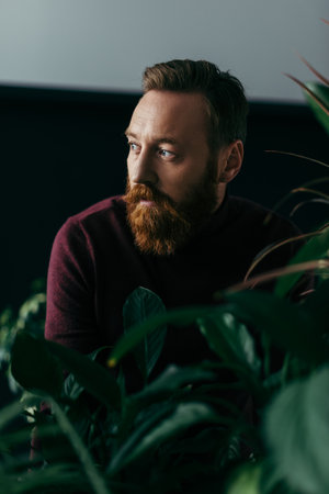 Fashionable man in burgundy sweater looking away near plants on black backgroundの写真素材
