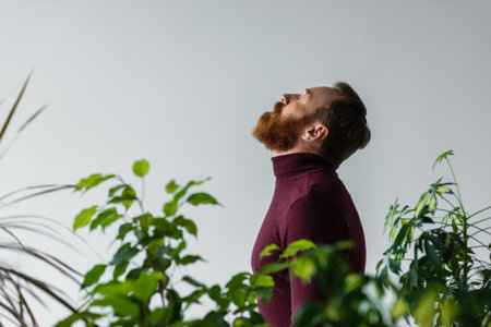 Side view of bearded model in turtleneck standing behind plants isolated on greyの写真素材