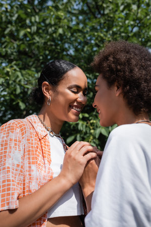joyful african american lesbian couple smiling while holding hands in green parkの写真素材