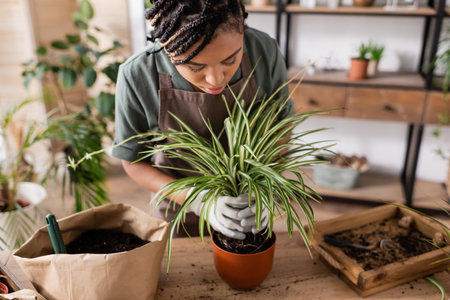 young african american florist transplanting green plant into new flowerpot near paper bag with soil