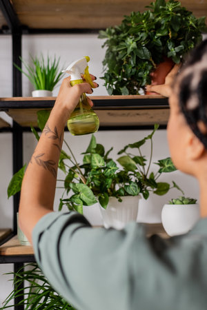 cropped view of blurred african american florist spraying green plants with water on rackの写真素材