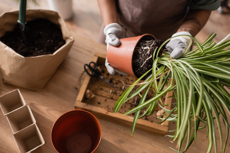 top view of cropped african american woman in work gloves transplanting green plant near paper bag...