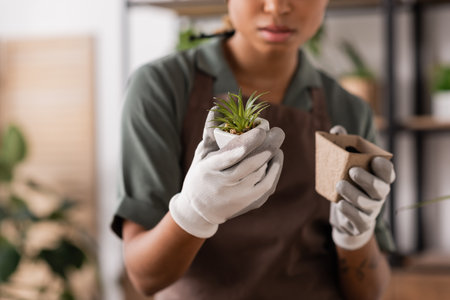 cropped view of blurred african american florist in work gloves holding small green plant and flowerpot with soilの写真素材
