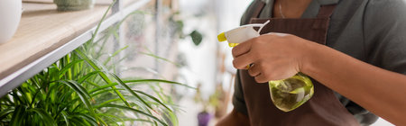 cropped view of african american florist refreshing green plant with pure water from spray bottle,...