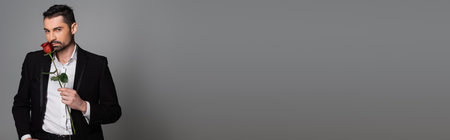 Elegant man in suit holding red rose isolated on grey, bannerの写真素材