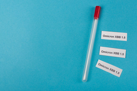 Top view of cotton swab near omicron xbb lettering on blue background