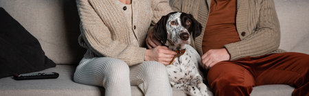 Cropped view of couple petting dalmatian dog near remote controller on sofa at home, bannerの写真素材