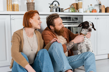 Smiling adult couple looking at dalmatian dog with collar in kitchenの写真素材