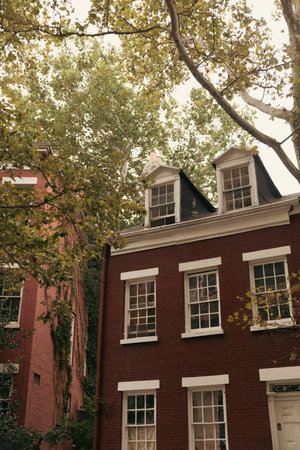 brick dwelling houses with white windows near autumn trees on street in New York Cityの写真素材