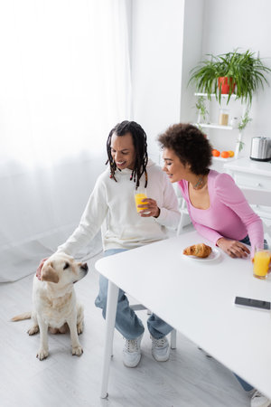 Smiling african american couple looking at labrador near breakfast and smartphone in kitchenの写真素材