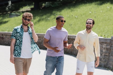 Positive multiethnic men in sunglasses talking while walking in park at daytimeの写真素材