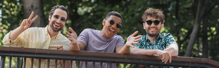 Cheerful multiethnic friends in sunglasses gesturing in summer park, bannerの写真素材