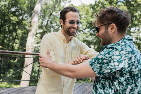 Carefree friends in sunglasses meeting in summer parkの写真素材