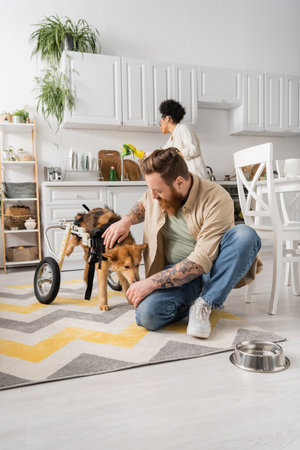 Tattooed man petting disabled dog on wheelchair near bowl on floor at homeの写真素材