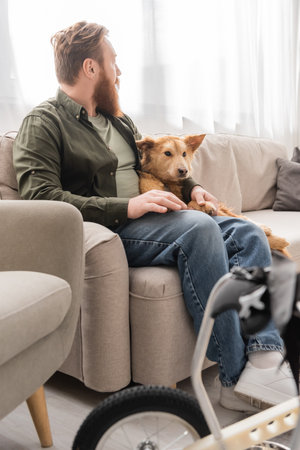 Side view of bearded man sitting near handicapped dog and blurred wheelchair in living roomの写真素材