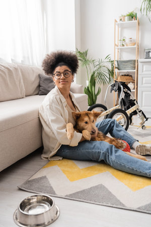 Young african american woman holding handicapped dog near wheelchair and bowl in living roomの写真素材