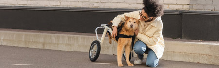 Smiling african american woman hugging dog with special needs on urban street, bannerの写真素材