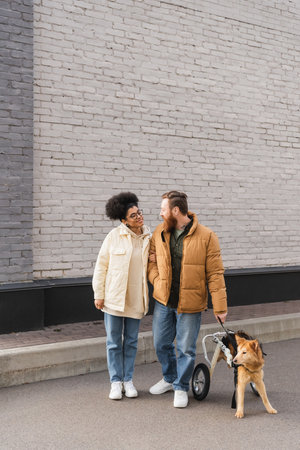 Smiling interracial couple standing near disabled dog on urban streetの写真素材