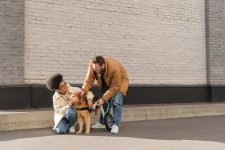 Positive african american woman petting wheelchaired dog near boyfriend on urban streetの写真素材