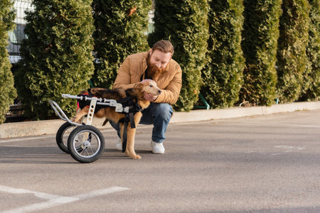 Man with beard taking care of disabled dog in wheelchairの写真素材