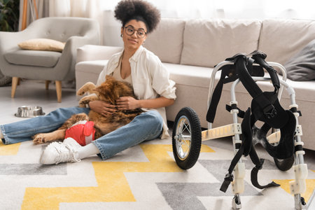 Wheelchair near blurred african american woman holding handicapped dog at homeの写真素材