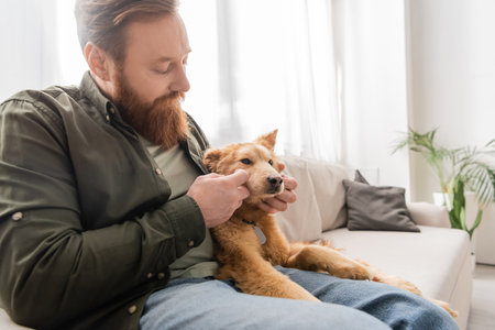Bearded man petting dog on sofa in living roomの写真素材