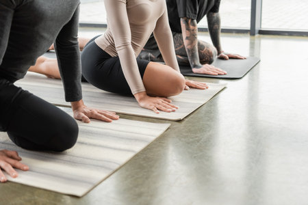 Cropped view of african american woman doing Half Pigeon asana near group in yoga classの写真素材