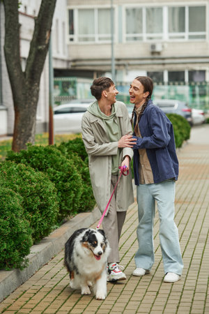cheerful gay man in casual outfit holding leash of Australian shepherd dog while walking out together with excited boyfriend with pigtails near modern building and bushes on urban streetの写真素材