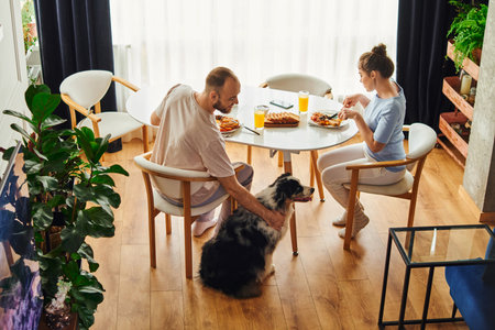 High angle view of smiling man petting border collie while having breakfast with girlfriend at homeの写真素材