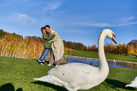 positive african american mother and son in outerwear looking at swans near pond in park, autumnの写真素材