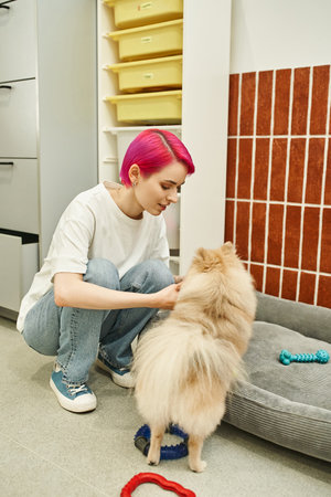 stylish female dog sitter playing with pomeranian spitz in welcoming pet hotel, canine enjoymentの写真素材