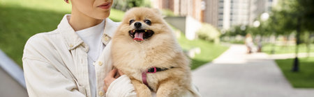 cropped view of woman with adorable pomeranian spitz in hands walking on city street, bannerの写真素材