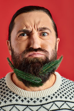 handsome man in Christmas sweater posing with branches of fresh spruce in beard on red backdropの写真素材