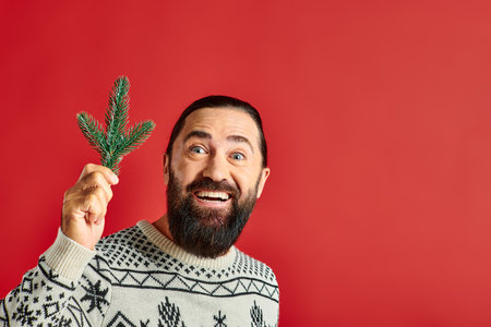 joyful bearded man in winter sweater holding branch of pine tree on red backdrop, Merry Christmasの写真素材