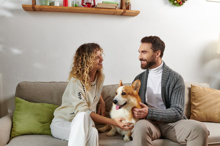 happy couple in casual winter outfits sitting on couch and cuddling corgi dog in modern apartmentの写真素材