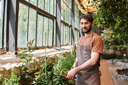 handsome and happy gardener in linen apron cutting branches of plants with secateurs in greenhouseの写真素材
