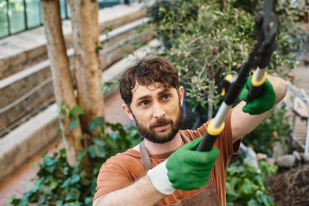 overhead view of gardener in apron cutting branch on tree with big gardening scissors in greenhouseの写真素材