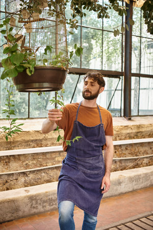 good looking and cheerful gardener in denim apron examining fresh leaves in birdcage in greenhouseの写真素材