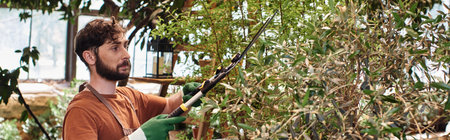 handsome gardener in linen apron cutting branch on tree with big secateurs in greenhouse, bannerの写真素材