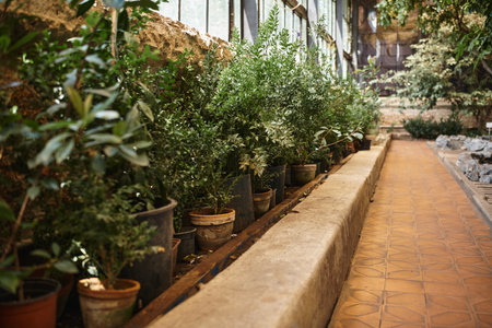 fresh plants and bushes and trees inside of greenhouse, indoor garden ecosystem conceptの写真素材