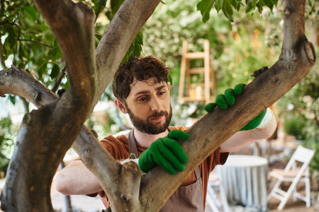 handsome bearded gardener in gloves examining tree in modern greenhouse, horticulture, concept