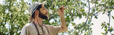 bearded gardener in sun hat and apron examining green leaves of tree while working outdoors, bannerの写真素材