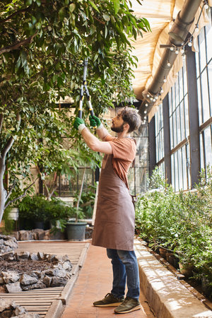 handsome gardener in gloves and apron cutting branch on tree with big secateurs in greenhouseの写真素材