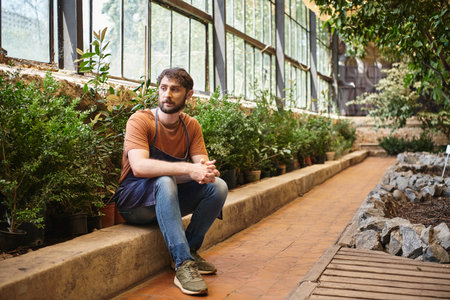 handsome and bearded gardener in denim apron sitting around green leaves of plants in greenhouseの写真素材