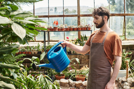 handsome and bearded gardener in apron watering green plants in greenhouse, green thumbの写真素材