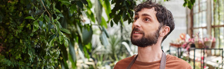 handsome and bearded gardener in apron looking at green foliage on tree in greenhouse, bannerの写真素材