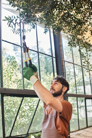 handsome gardener in linen apron cutting branch on tree with big gardening scissors in greenhouseの写真素材