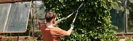 bearded gardener in gloves cutting twigs on green tree with big gardening scissors, banner
